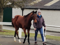 Fairyhouse8