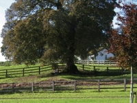 fence-on-hill-lr