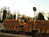 straw-load-lr